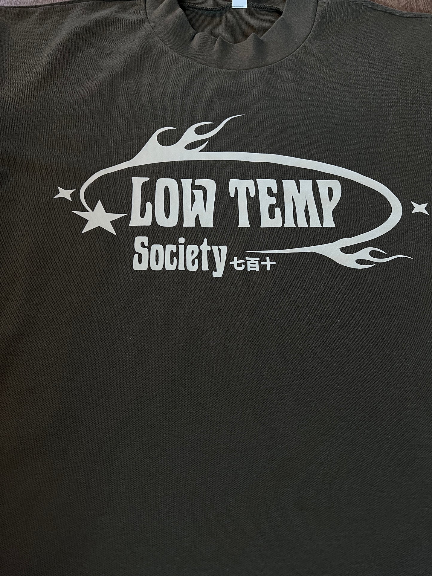 Low temp society ( 710 )